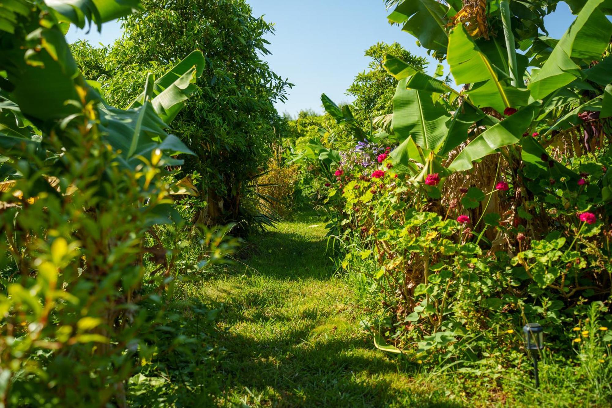 The Plantation Faial Bed & Breakfast Feteira  ภายนอก รูปภาพ